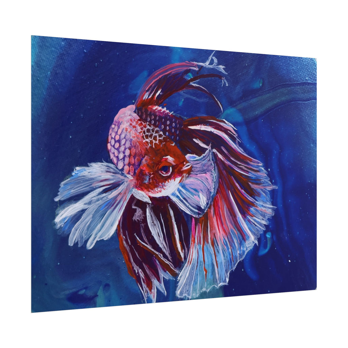 Betta Fish Wall Art Poster — Colorful Koi-Style Betta Rolled Poster