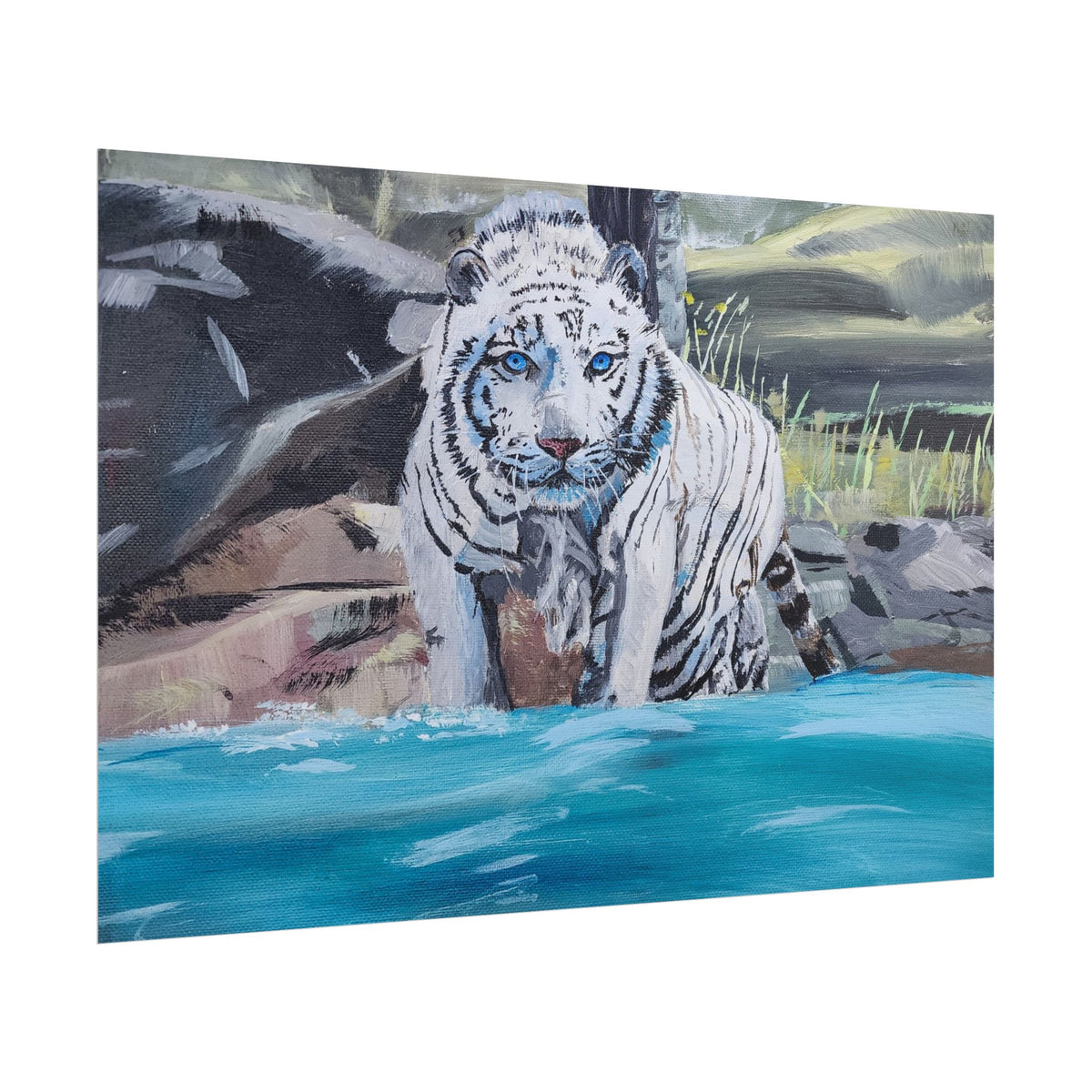 White Tiger Watercolor Poster — Rolled Art Print for Wildlife Lovers