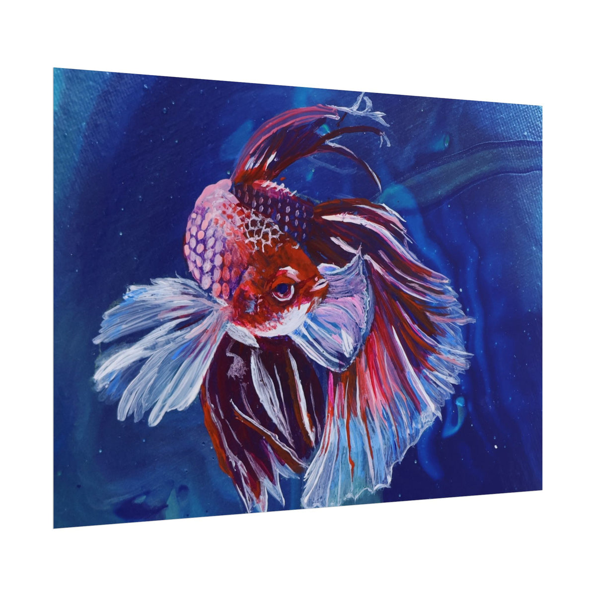 Betta Fish Wall Art Poster — Colorful Koi-Style Betta Rolled Poster