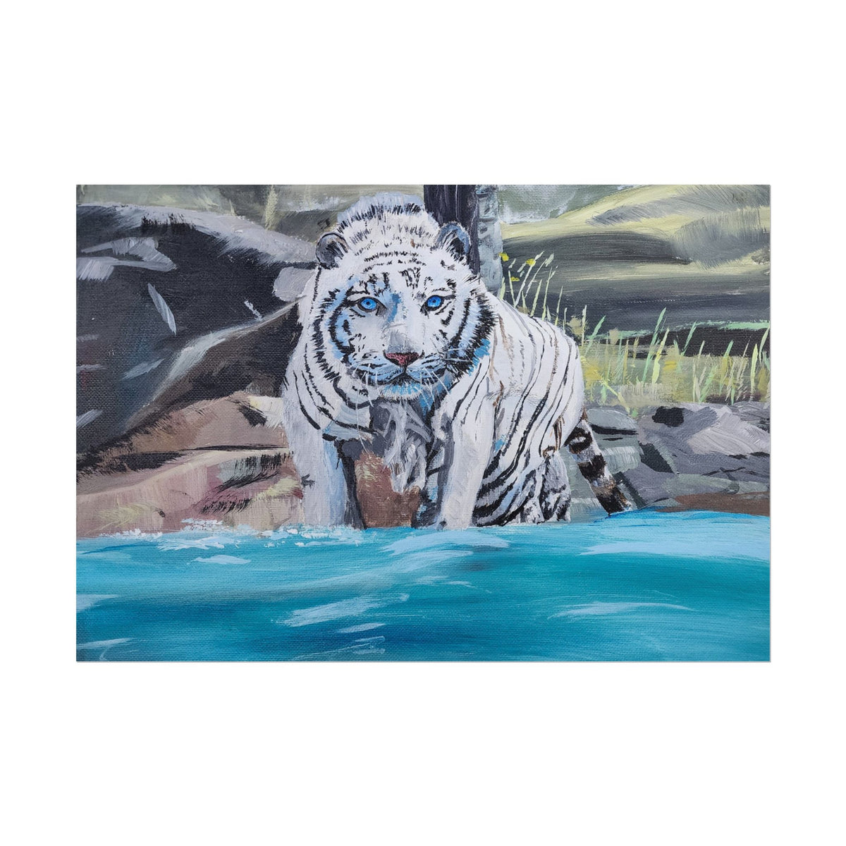 White Tiger Watercolor Poster — Rolled Art Print for Wildlife Lovers