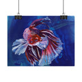 Betta Fish Wall Art Poster — Colorful Koi-Style Betta Rolled Poster